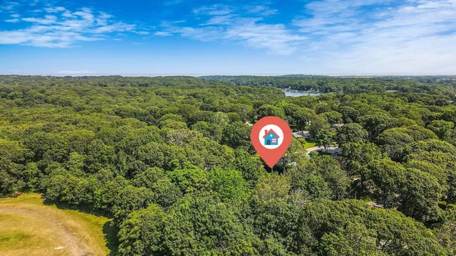 a view of a sign board with lots of trees