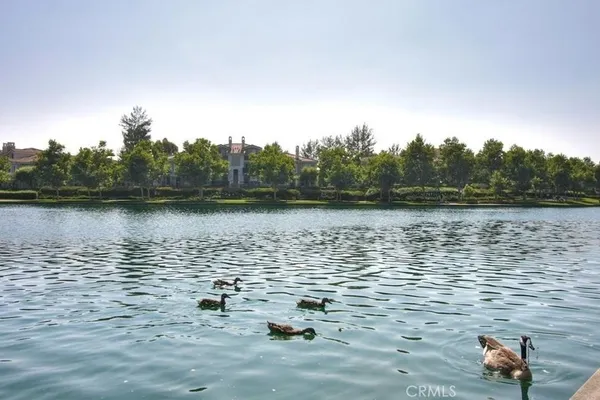 a view of a large body of water surrounded by trees