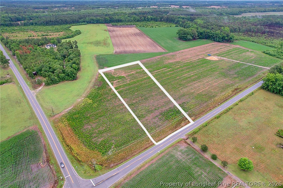 Lot 4 Buie Philadelphus Road Red Springs, NC 28377 - Photo 2 of 11