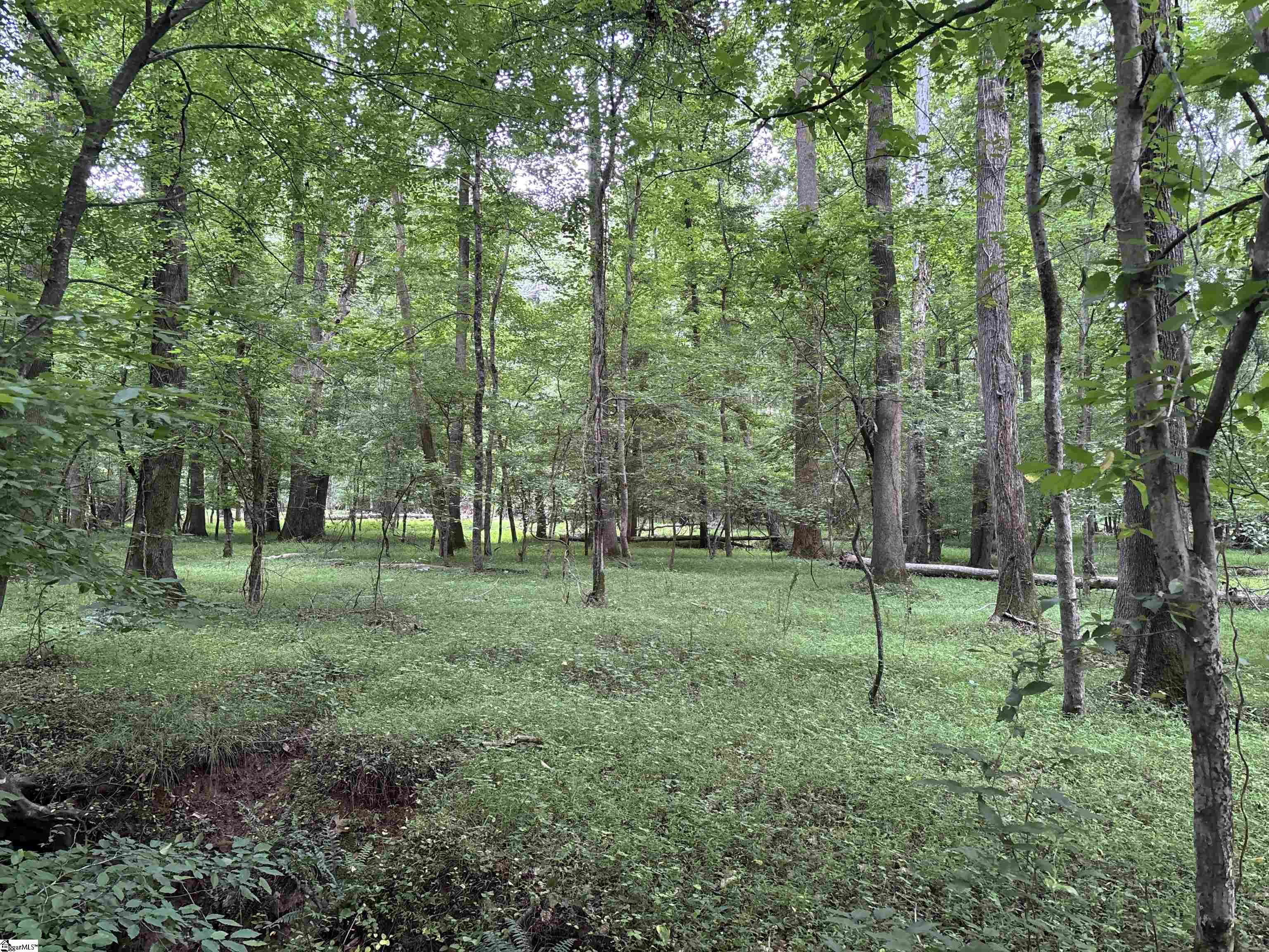 1087 Bobby Faucette Road Jonesville, SC 29353 - Photo 21 of 47