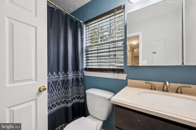 a bathroom with a sink a toilet and mirror