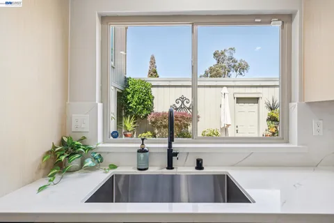 a view of a sink a mirror and a potted plant
