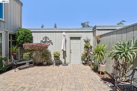 a view of a front door and a potted plant