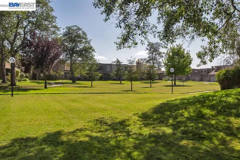 a view of a tennis ground with large trees
