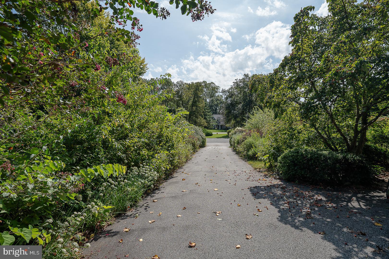128 Hamilton Road Landenberg, PA 19350 - Photo 16 of 81