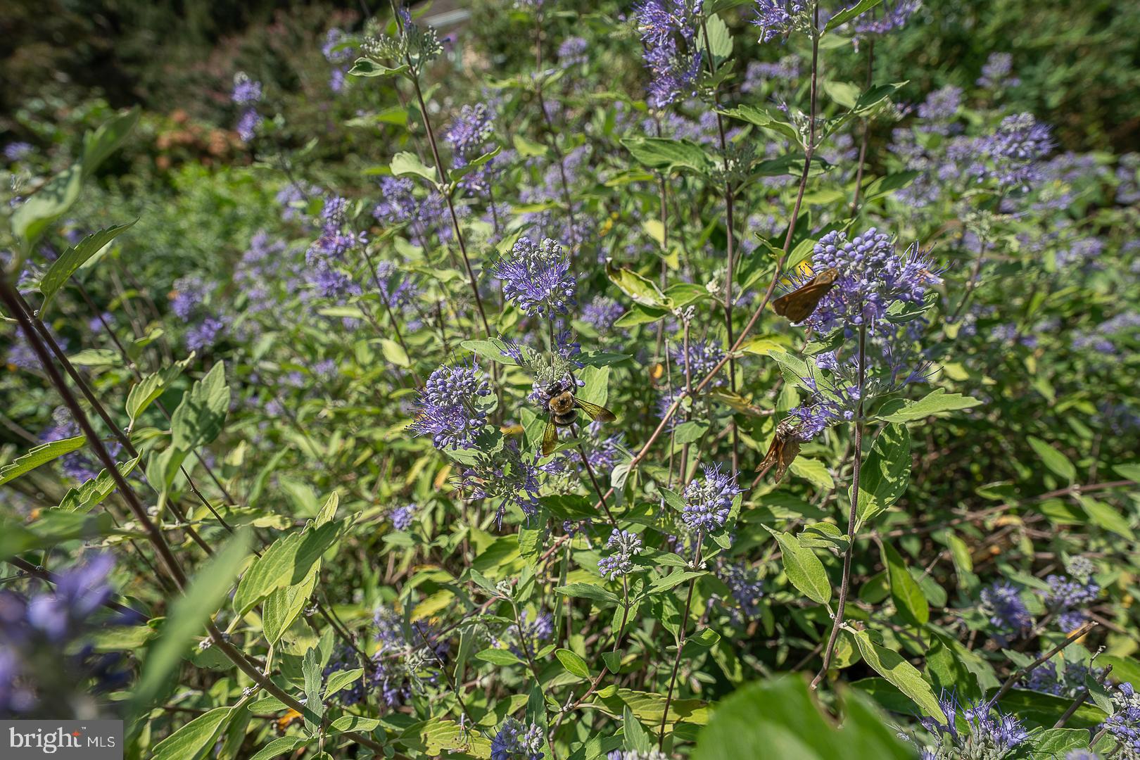 128 Hamilton Road Landenberg, PA 19350 - Photo 73 of 81