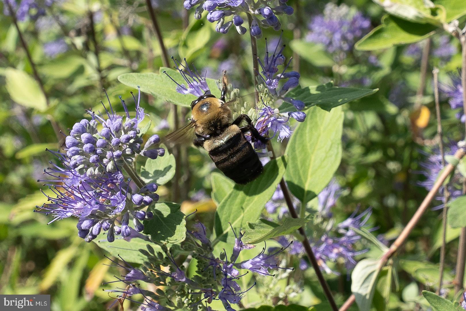 128 Hamilton Road Landenberg, PA 19350 - Photo 74 of 81