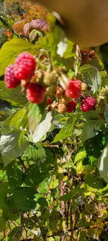 $399,000 | 34 Highview Drive, Hancock, ME 04640