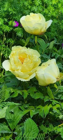 $399,000 | 34 Highview Drive, Hancock, ME 04640