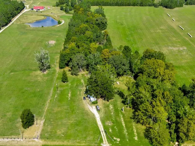 a view of a big yard with large trees