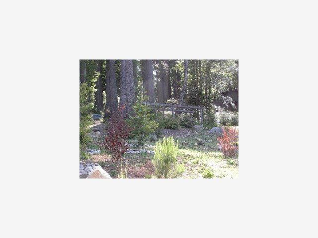 225 Old Ranch Road Woodside, CA 94062 - Photo 9 of 9
