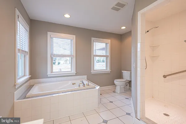 a bathroom with a bathtub and a toilet