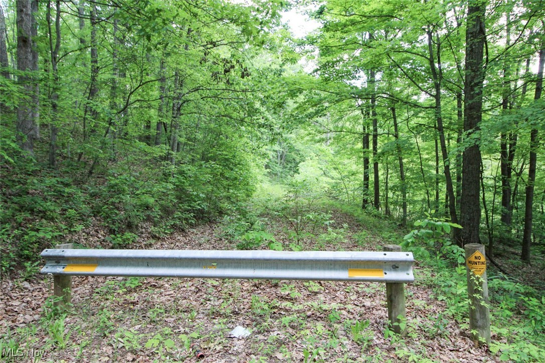 19 Zion Ridge Road Marietta, OH 45750 - Photo 3 of 19 Exterior view of a forest