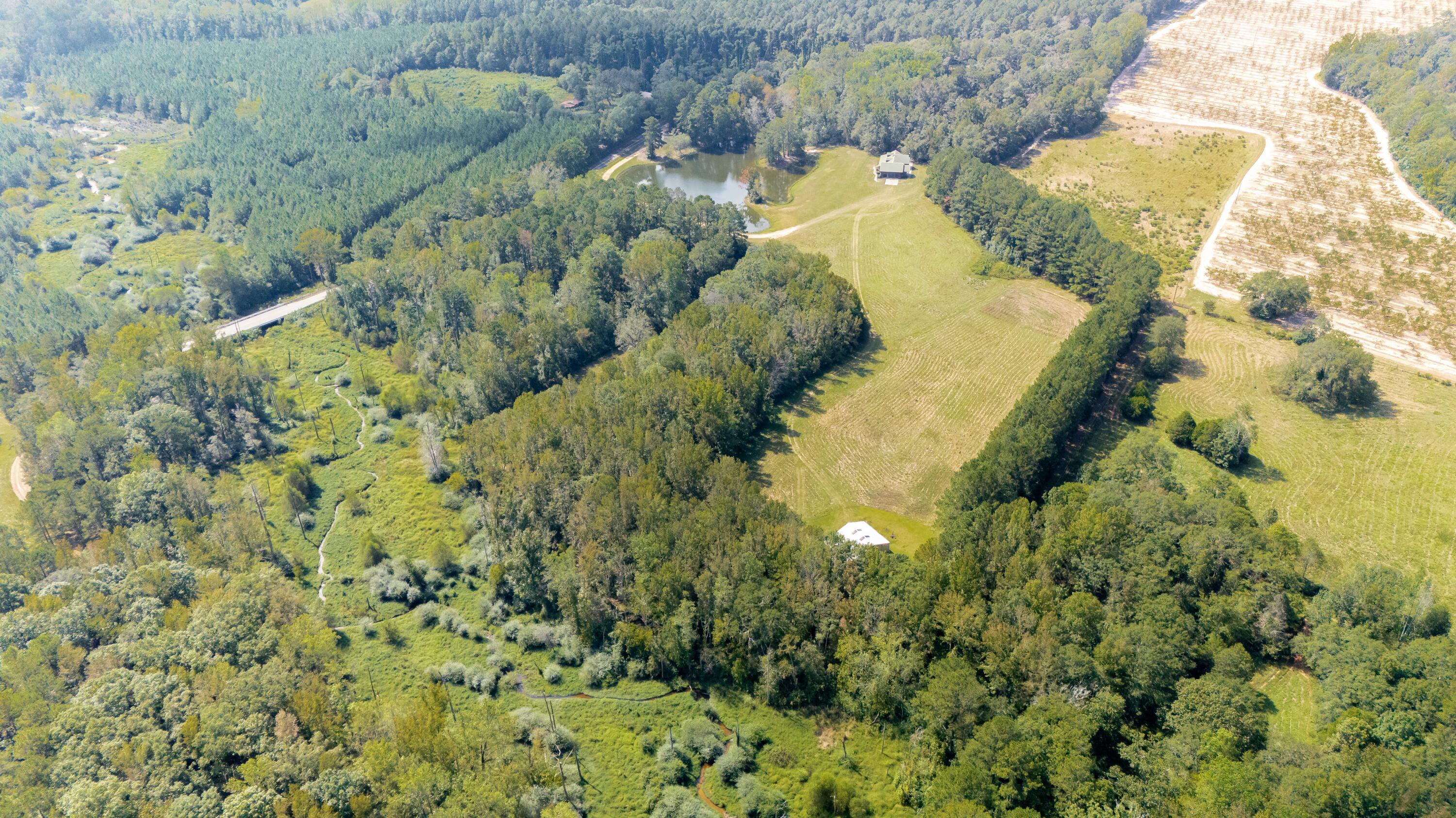153 Rachel Road Ridge Spring, SC 29129 - Photo 12 of 57
