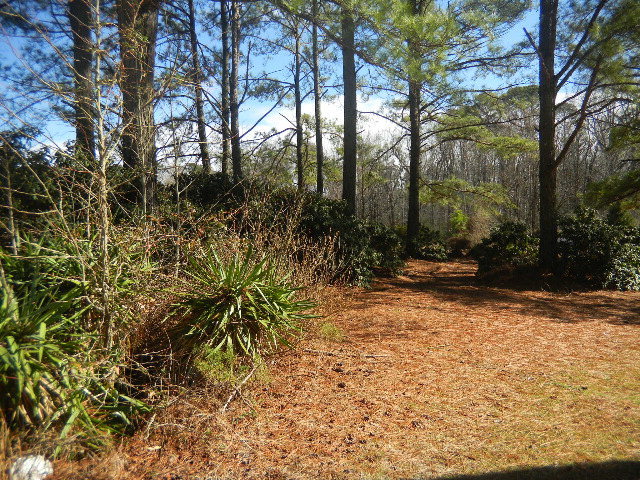 5333 Autry Road Rocky Mount, NC 27803 - Photo 1 of 1 Primary Photo