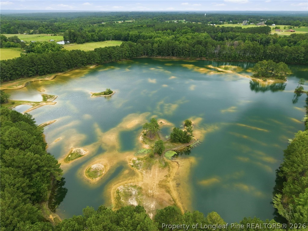 1008 Joe Collins Road Lillington, NC 27546 - Photo 49 of 50