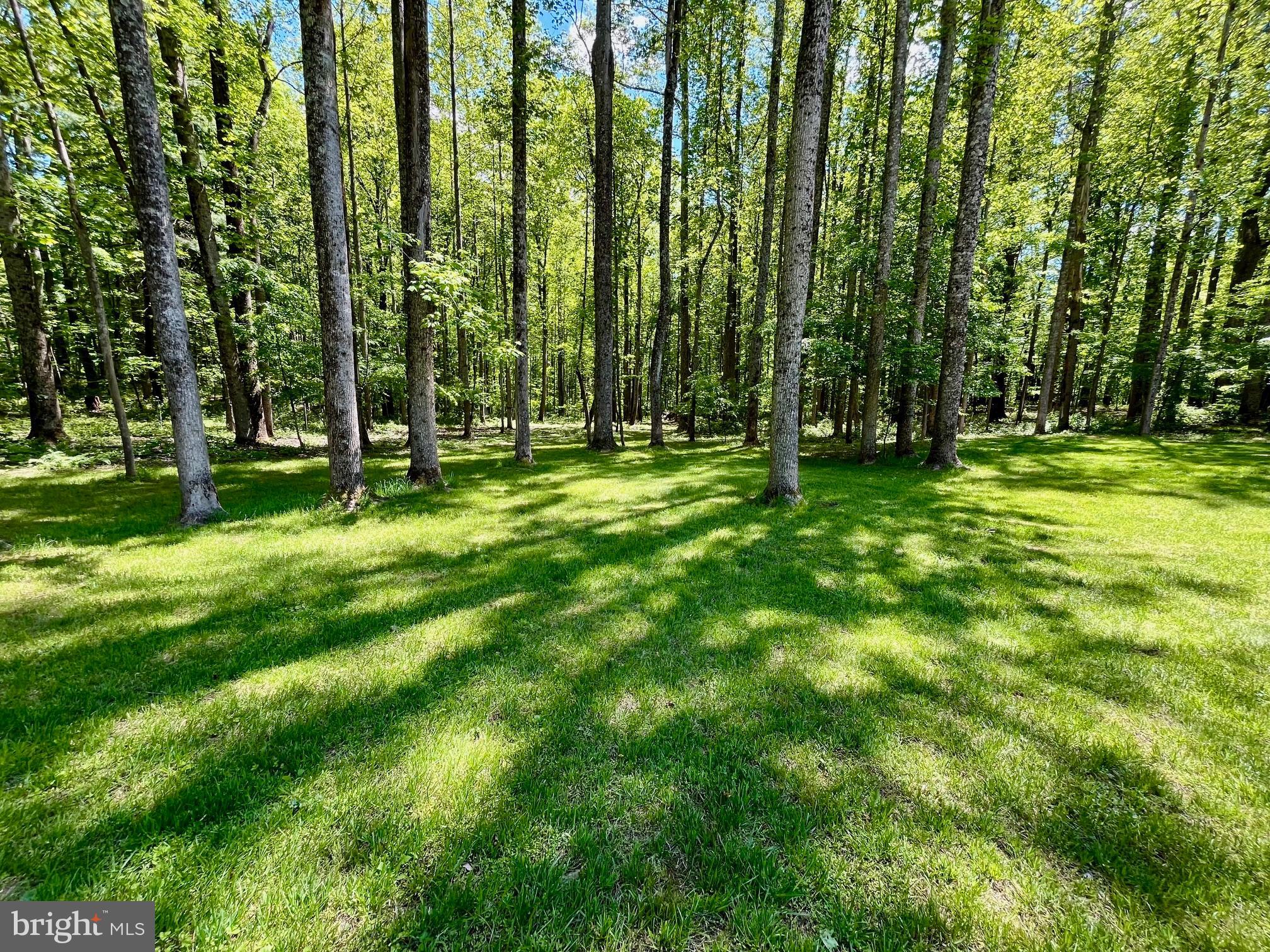 700 Battle Mountain Road Amissville, VA 20106 - Photo 69 of 76 Woods with curated walking trails beyond the lawn.