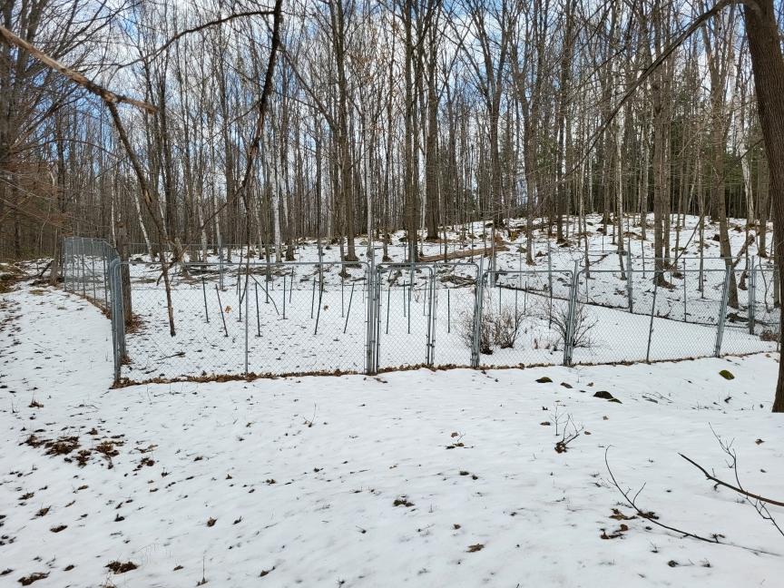 2746 South River Road Rhinelander, WI 54501 - Photo 14 of 33 Gallery Image 14