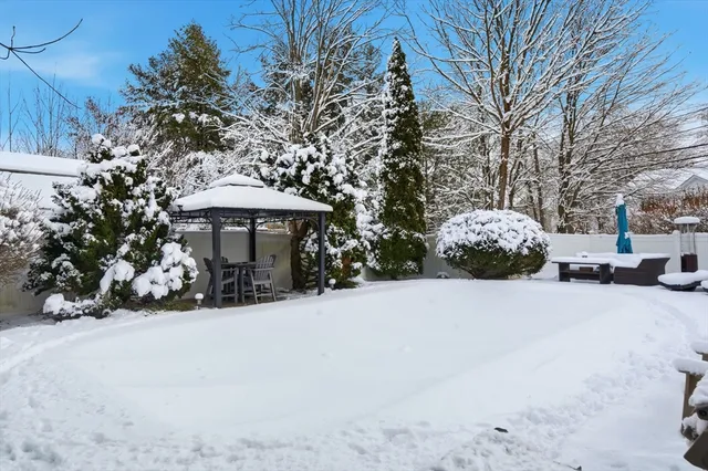 a view of a street with a bench and trees
