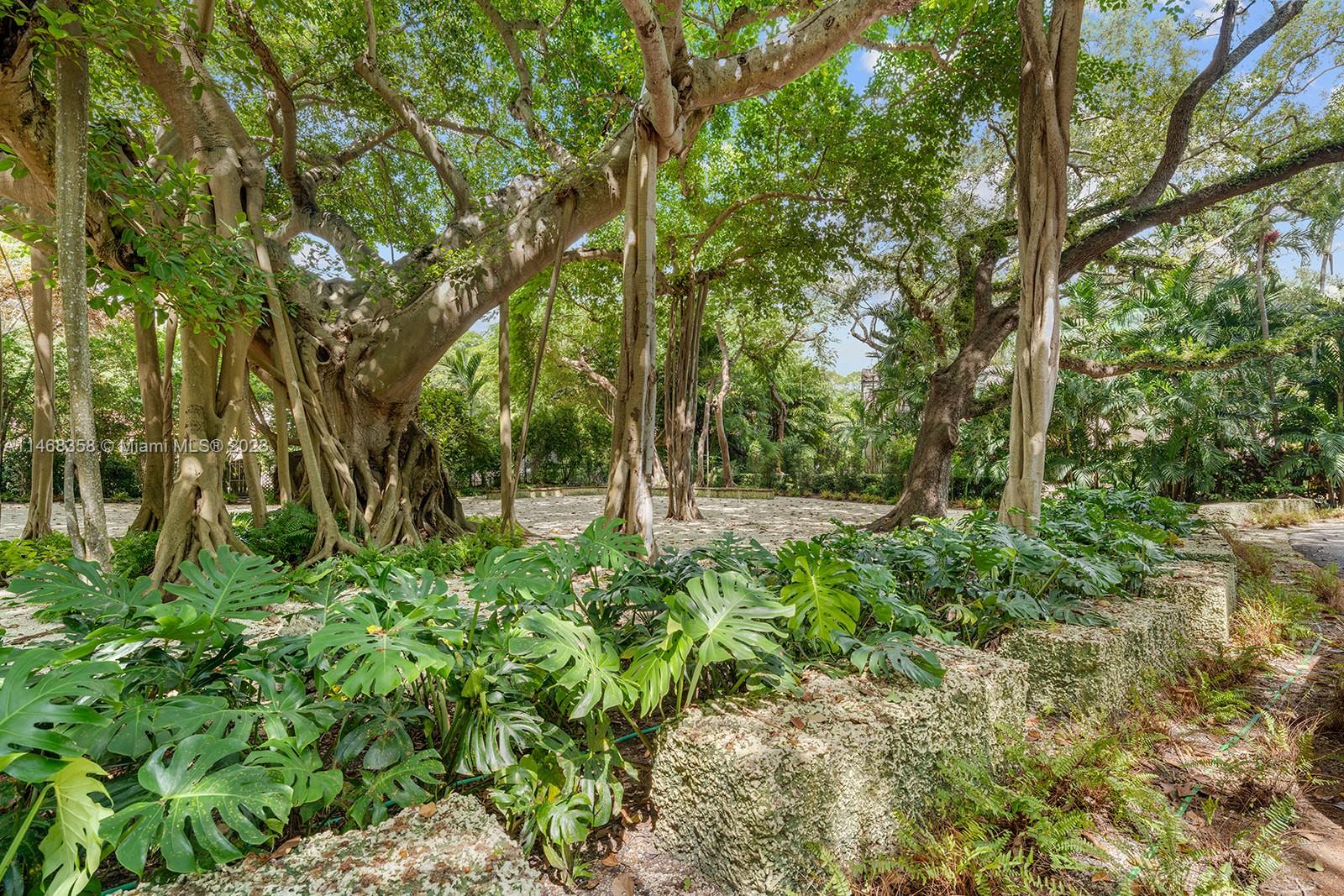3500 Munroe Drive Coconut Grove, FL 33133 - Photo 46 of 54 a view of outdoor space and yard