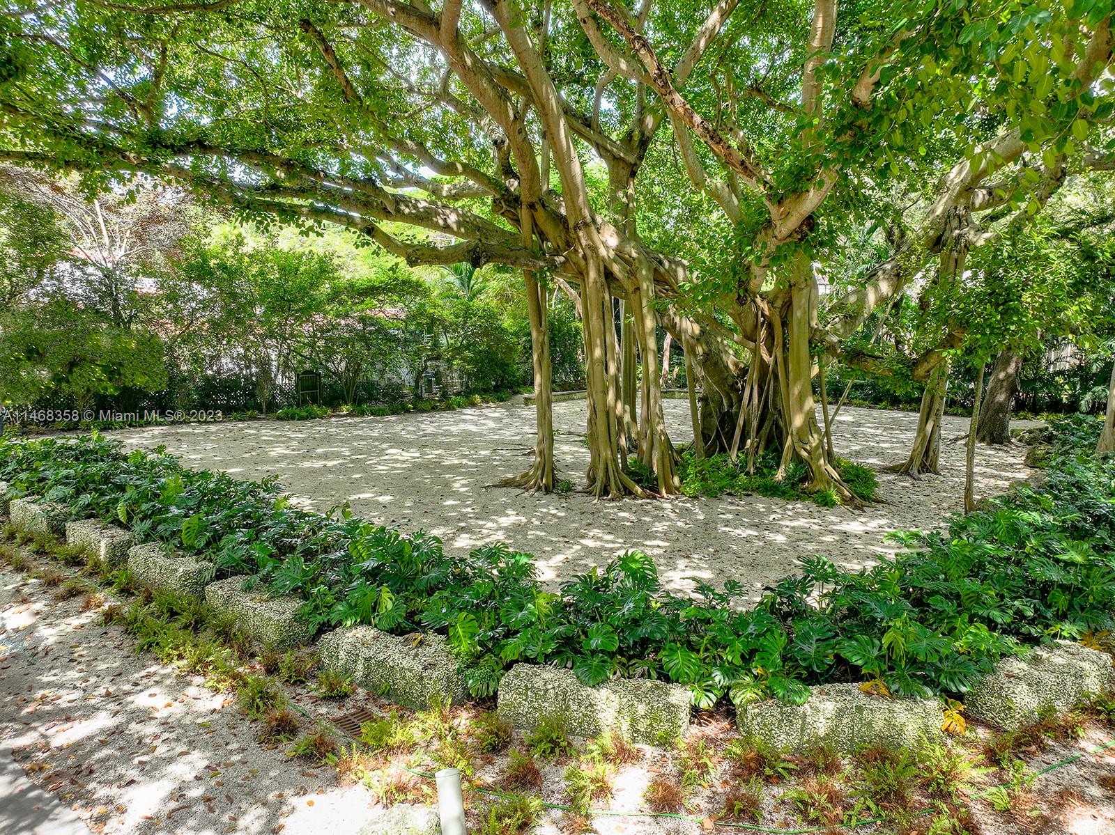 3500 Munroe Drive Coconut Grove, FL 33133 - Photo 47 of 54 a view of a field with plants and trees
