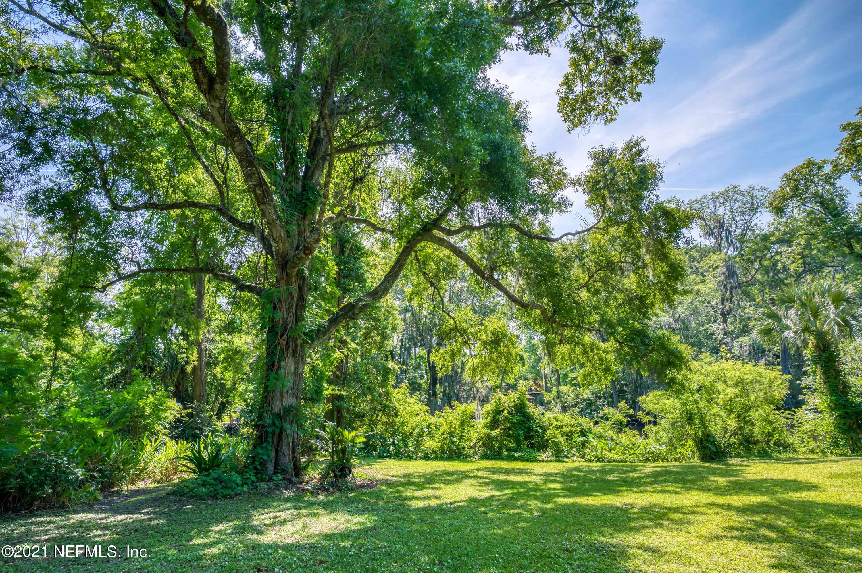 0 Sanchez Road Jacksonville, FL 32217 - Photo 7 of 22 8695 Sanchez Road PRINT HIGH RES-5