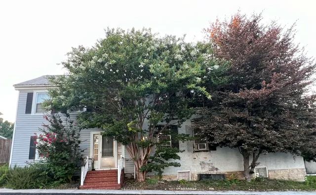 a front view of a house with trees