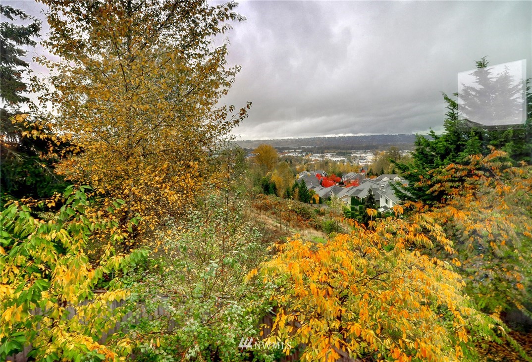 1217 South 36th Place Renton, WA 98055 - Photo 30 of 30 a flower garden in a corridor