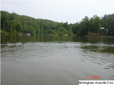 Arrowhead Drive Wedowee, AL 36278 - Photo 1 of 2