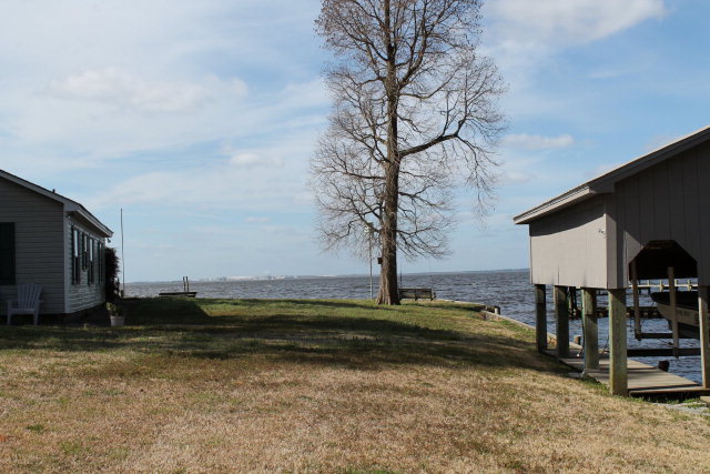 830 Ross Road Bath, NC 27808 - Photo 39 of 40 Side Yard