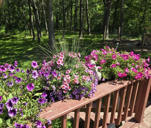 $329,900 | 4570 Pine Point Drive Northwest, Walker, MN 56484