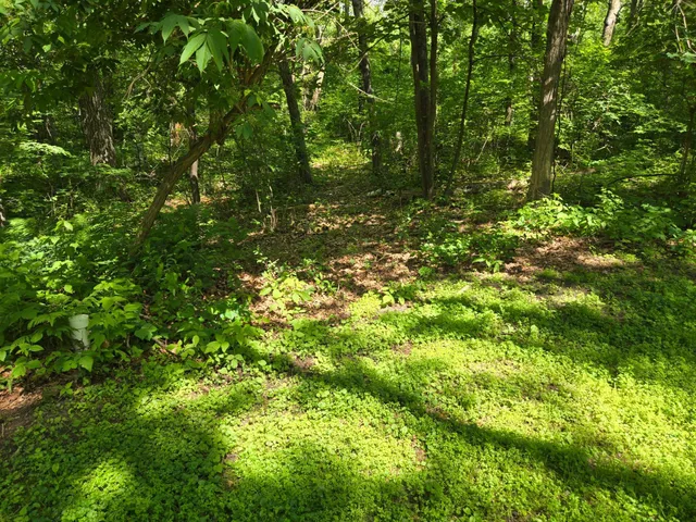 $339,900 | 4570 Pine Point Drive Northwest, Walker, MN 56484