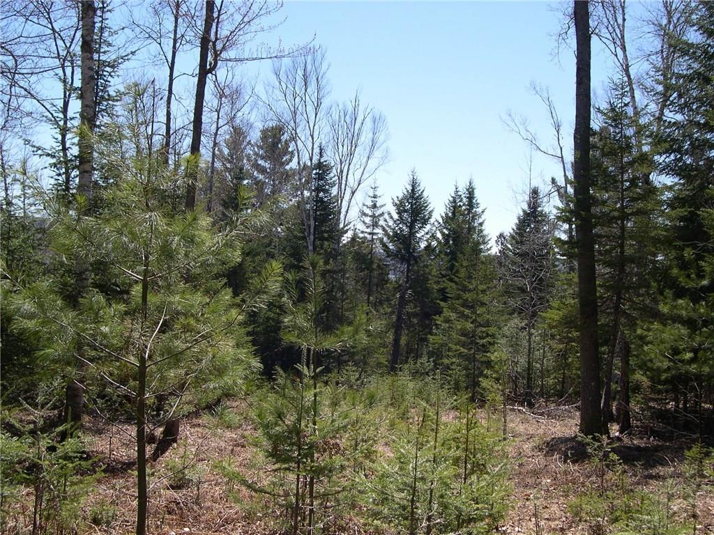 Lot 5 Manor Woods Road Rangeley, ME 04970 - Photo 8 of 14 cleared area