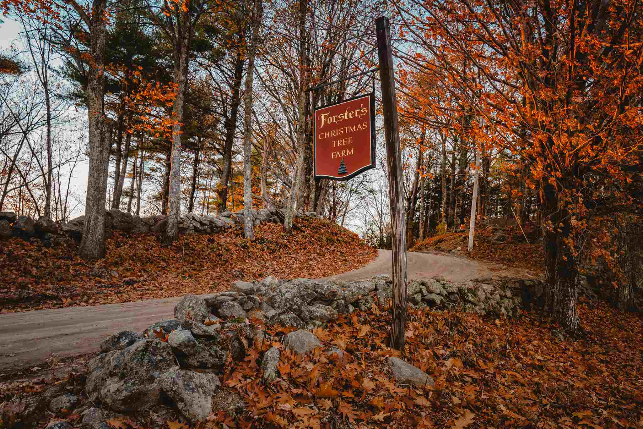 347 Mt Hunger Road Henniker, NH 03242 - Photo 22 of 40