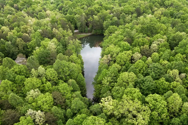 $145,000 | 0 Savage Highland Drive, Coalmont, TN 37313