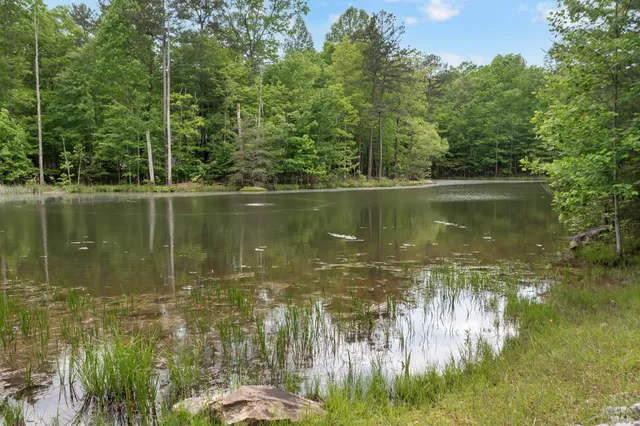 $145,000 | 0 Savage Highland Drive, Coalmont, TN 37313