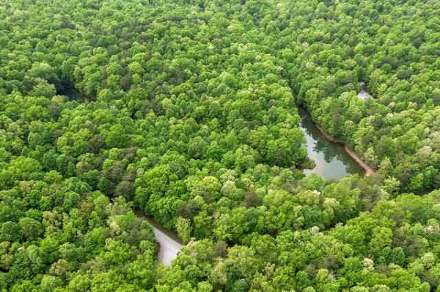 $145,000 | 0 Savage Highland Drive, Coalmont, TN 37313