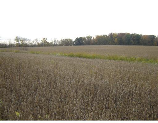 70 Acres On Limrick Road Springfield, OH 45502 - Photo 3 of 7