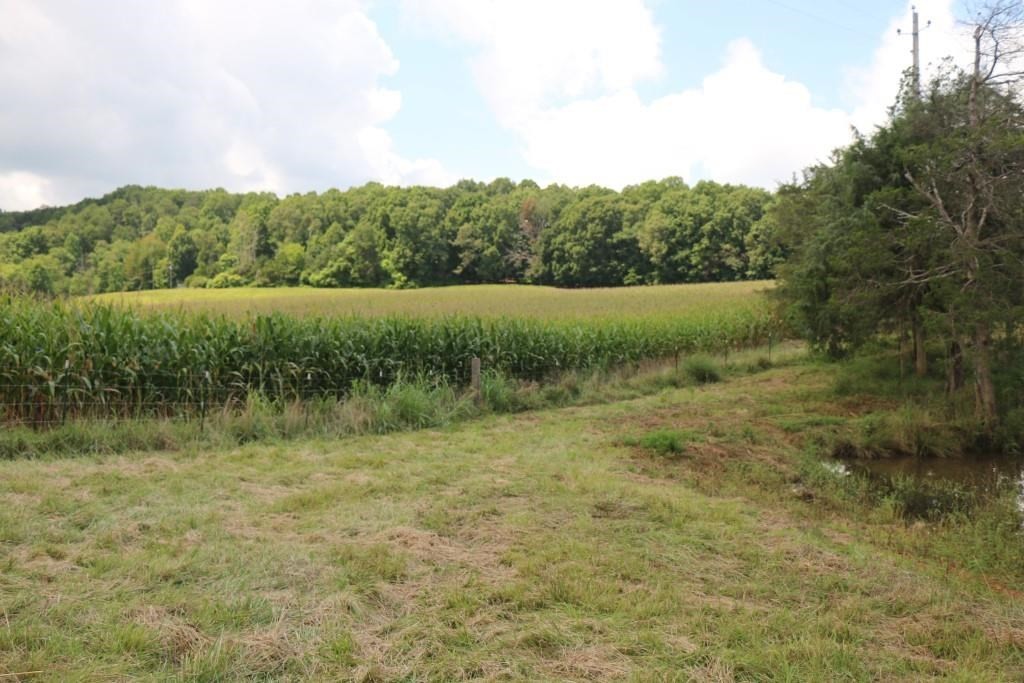 0 Old Federal Road Madisonville, TN 37354 - Photo 12 of 15