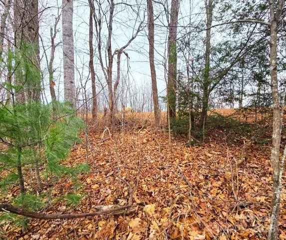 a backyard of a house with lots of plants and large tree