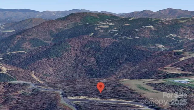 a view of a backyard with large trees