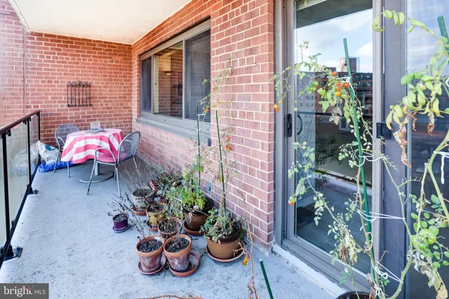 a view of a yard in front of a building
