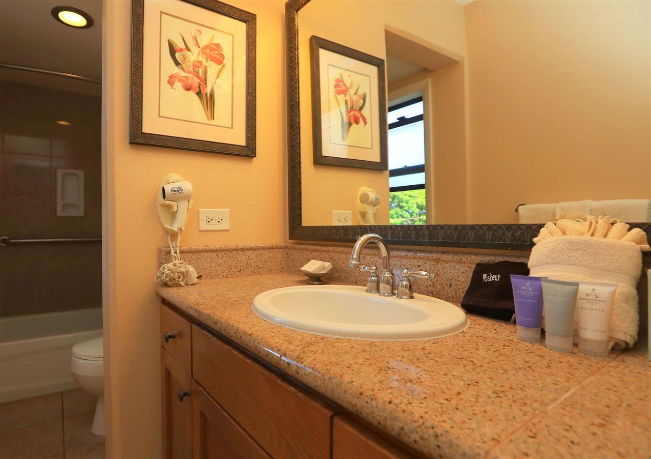 4401 Lower Honoapiilani Road, Unit B401 Lahaina, HI 96761 - Photo 14 of 17 Gallery Image 14