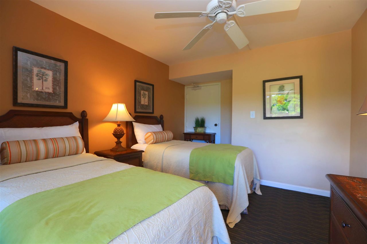 4401 Lower Honoapiilani Road, Unit B401 Lahaina, HI 96761 - Photo 15 of 17 Gallery Image 15