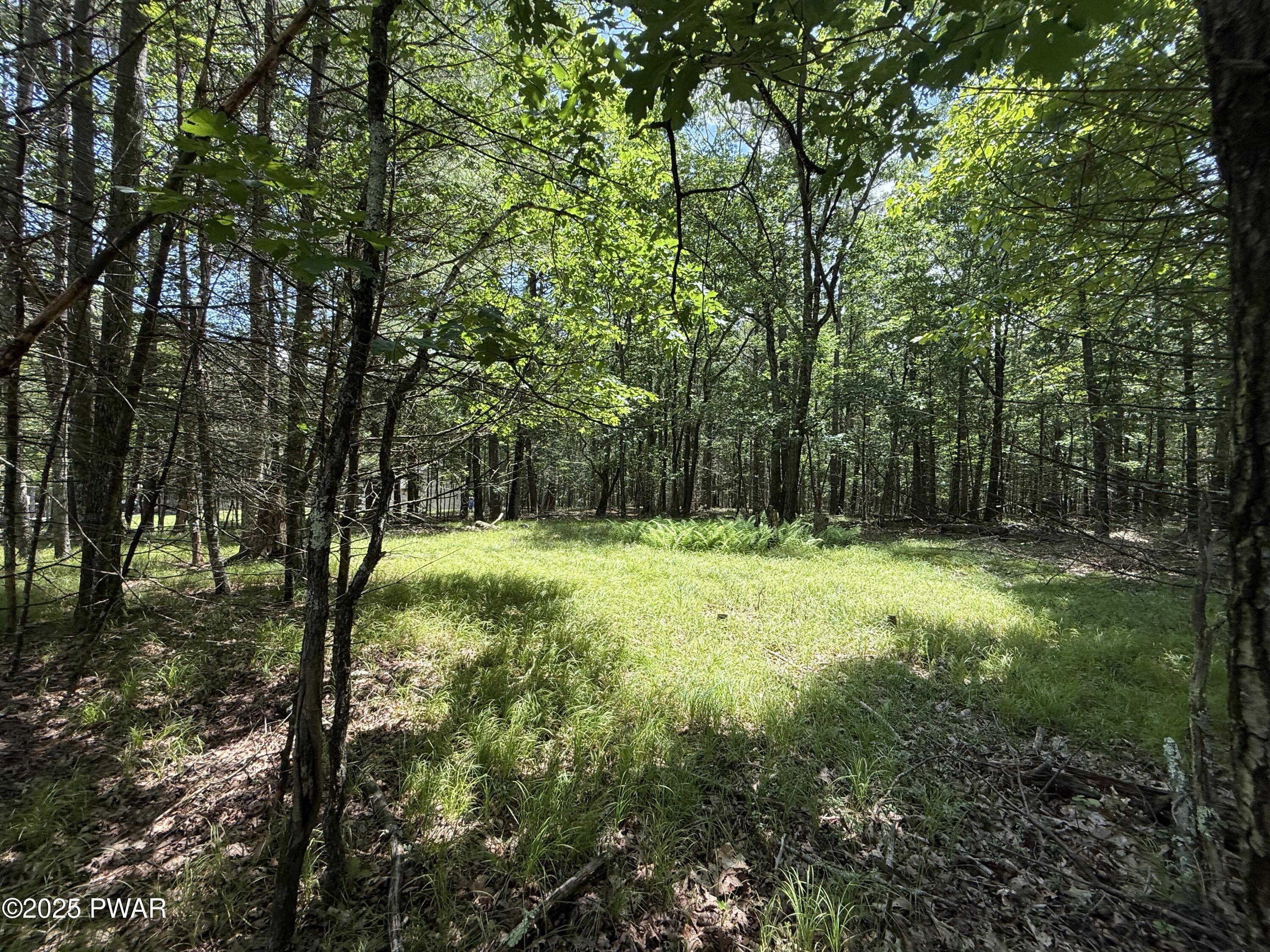 497 Timber Ridge Drive Hawley, PA 18428 - Photo 2 of 15