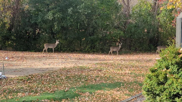 $3,500,700 | 3495 Eastshore Drive, Minnetrista, MN 55364