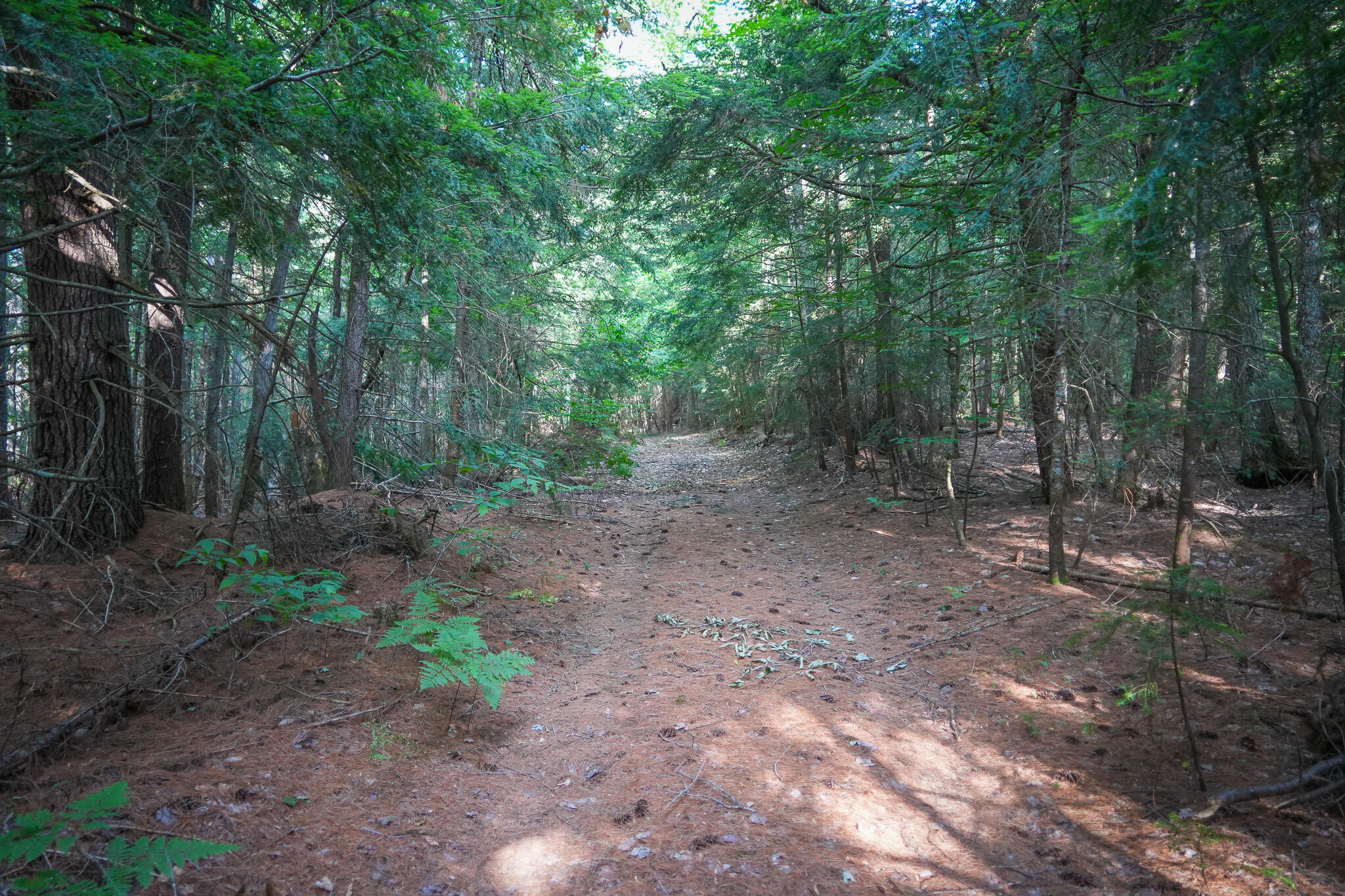 3505 Timber Lost Road Paradise, MI 49768 - Photo 51 of 63 DSC01386