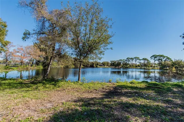 a view of a lake with a mountain in the background