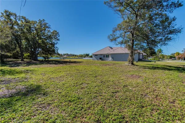 a view of a yard with a tree