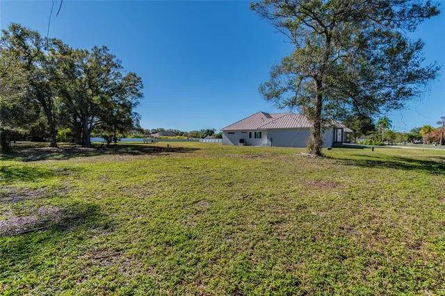 a view of a yard with a tree